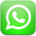 Solo Whatsapp al +54 9 11 50133663